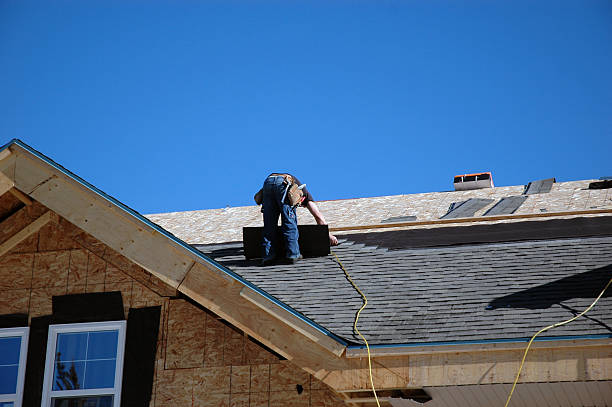 Best Roof Insulation Installation  in Burgaw, NC