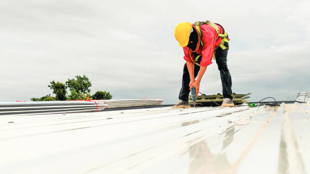 Roof Moss and Algae Removal in Burgaw, NC